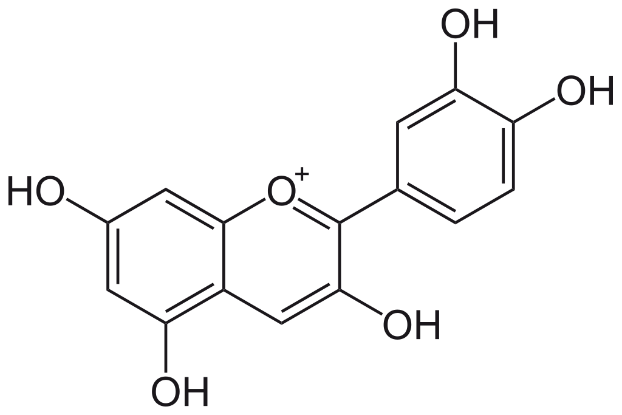 The molecular structure of cyanidin